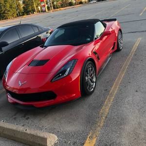 Meet your Posher, Benjamin